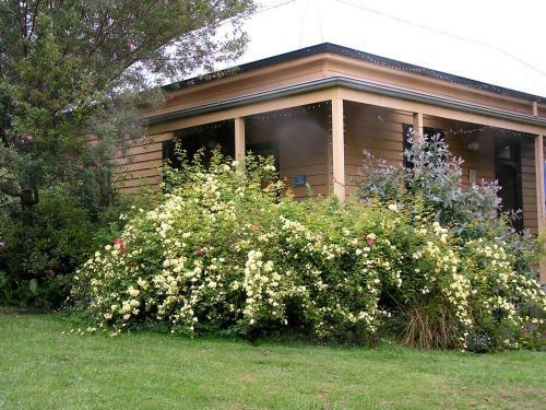 Hotel Lemonade Creek Cottages