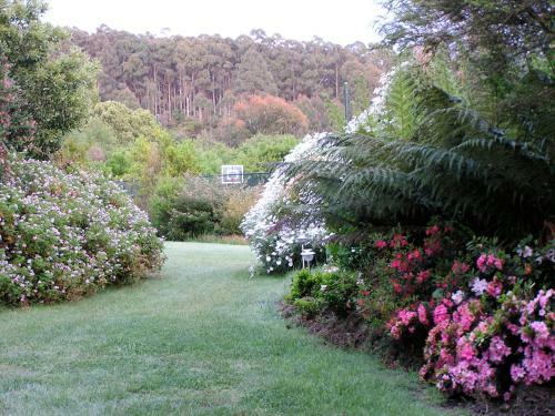 Hotel Lemonade Creek Cottages
