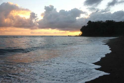 Hotel Friendly Beach