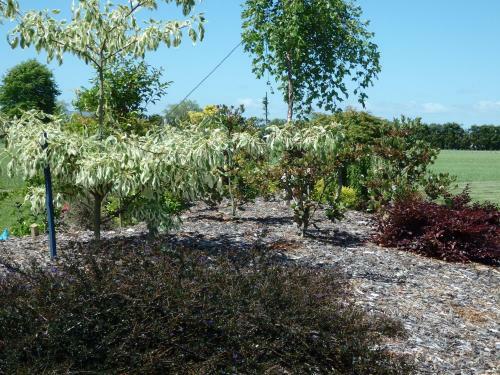 Bed & Breakfast Matangi Oaks Boutique B & B
