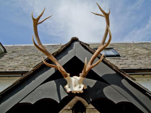 The Antlers