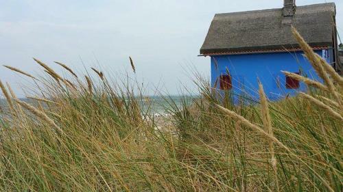 Apartment Leuchtturm 16