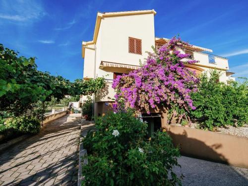 Apartment Apartment Biograd
