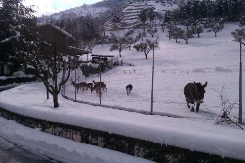 Agroturismo Tenuta Del Daino