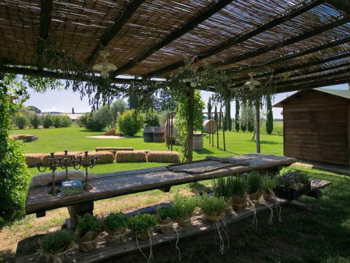Special Apartments In Braccagni With Orthopedic Beds