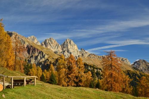 Apartamento Appartamento Magnifiche Dolomiti