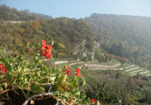 Bed & Breakfast Ca' Dei Fazzilisti