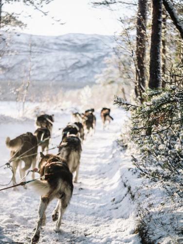 Trasti & Trine�s Lodge
