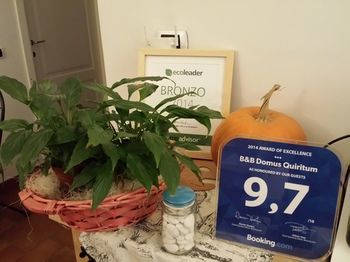 Bed & Breakfast Domus Quiritum