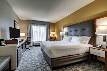 Holiday Inn Express Hotel & Suites Albany