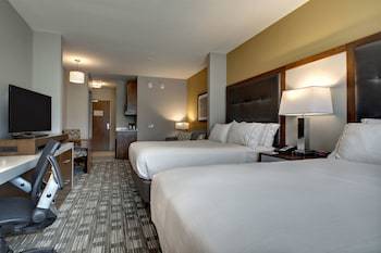 Holiday Inn Express Hotel & Suites Albany