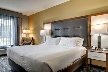 Holiday Inn Express Hotel & Suites Albany
