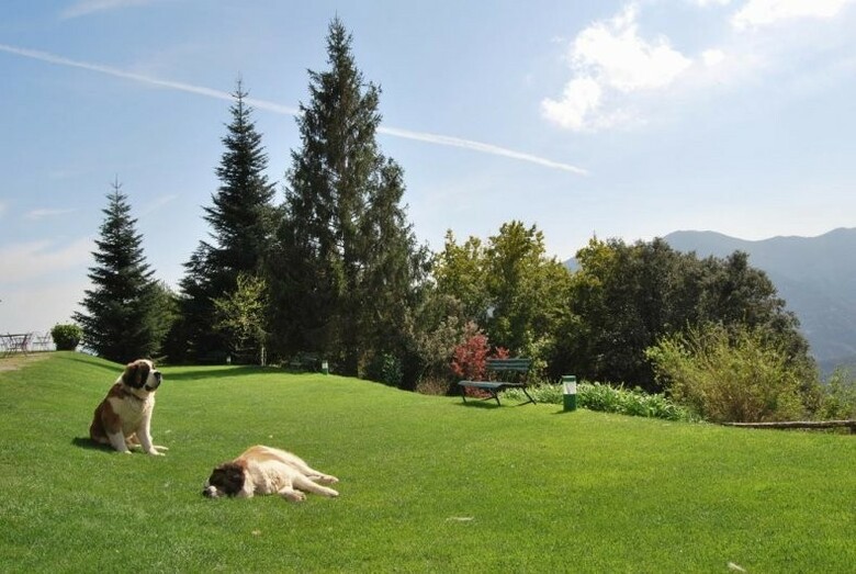 Hotel Sant Bernat