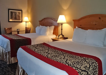 Hotel Quality Inn & Suites University