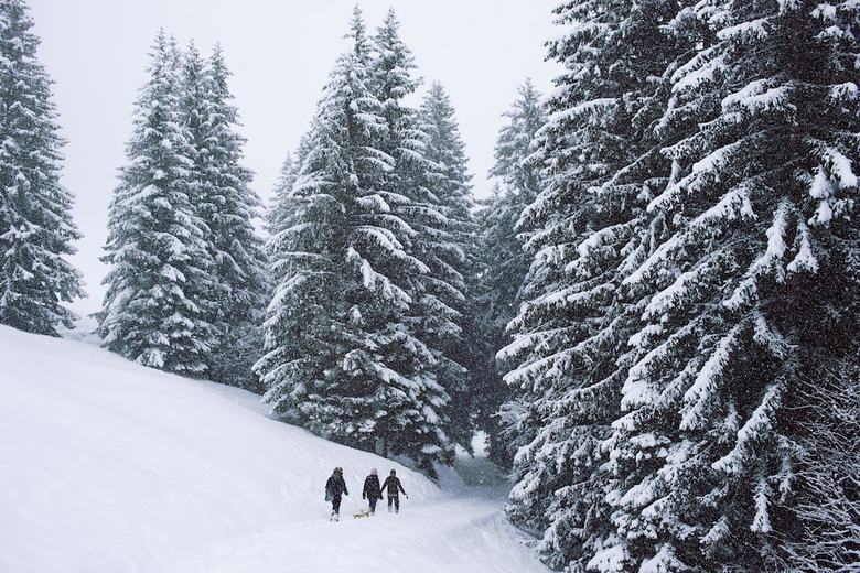 Hotel Minotel Waldhaus - Huldi