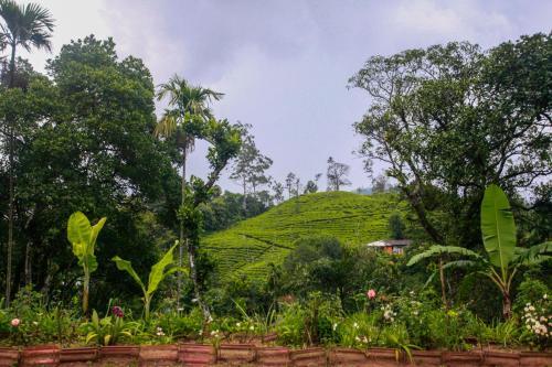 Bed & Breakfast Ella Nature Resort