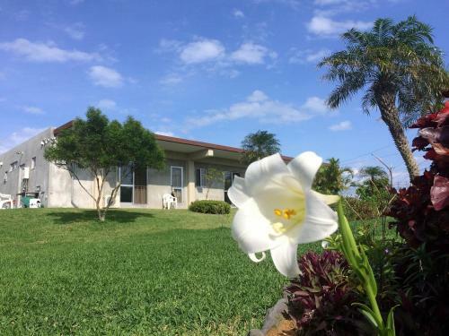 Posada Pension Ntsunaka