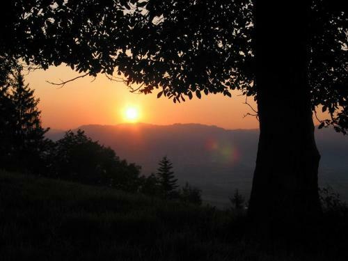 Bed & Breakfast Motel Bl�mel