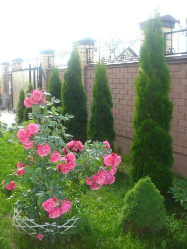 Hostal Dom Banya Guesthouse