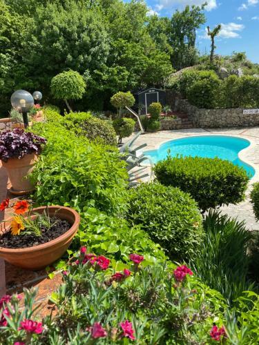 Apartments Villa Dora