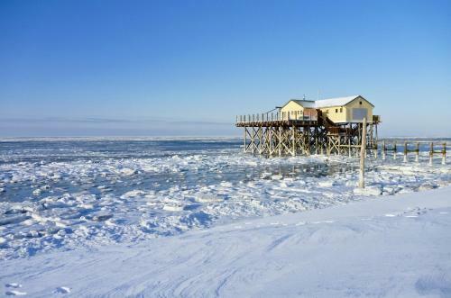 Apartamento H�s Am Wall - Reetdachapartments - St. Peter Ording