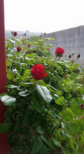 Bed & Breakfast La Clef Du Bonheur