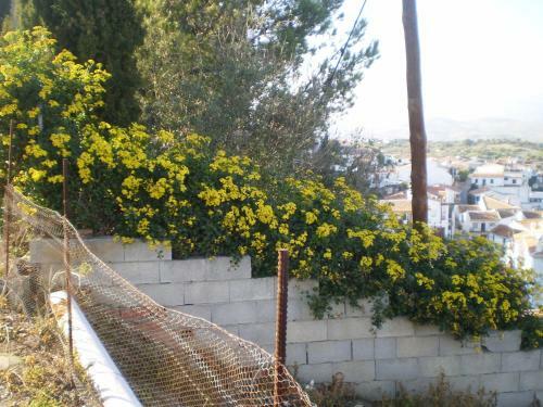 Agroturismo La Atalaya De Los Romanes