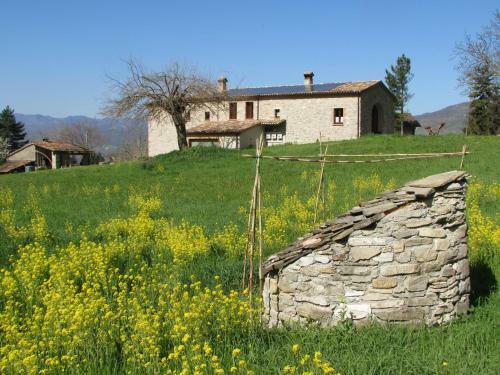 Bed & Breakfast Il Gelso Room&breakfast