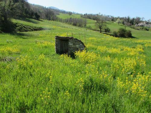Bed & Breakfast Il Gelso Room&breakfast