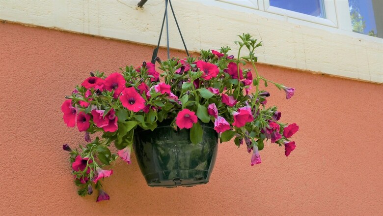 Bed & Breakfast Manoir De L'esplanade