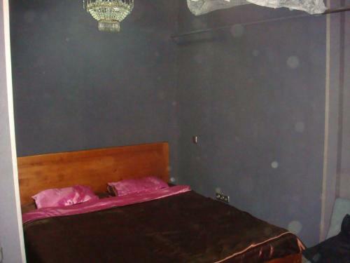 Albergue Mini-hotel Dvorets Ukrainy