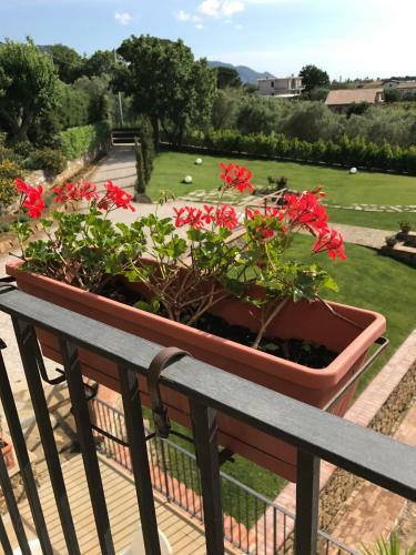 Apartamento Casale Il Sa�co