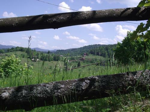 Hostal Guesthouse U Deda Viktora