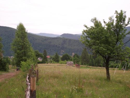 Hostal Guesthouse U Deda Viktora