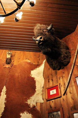 Hotel Cowboys Guest Ranch