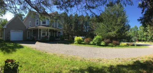 Bb Saffron Tremblant