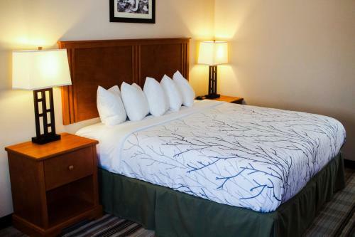 Hotel Bowman Lodge & Convention Center