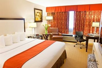 Hotel Holiday Inn Boston-dedham