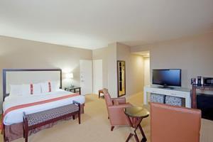 Hotel Holiday Inn Boston-dedham