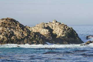 Hotel El Lodge En Pebble Beach (sv)