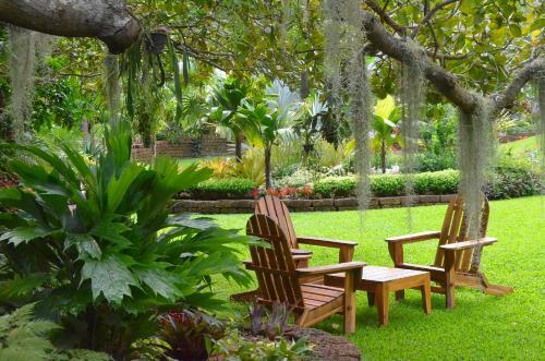 Cominsia Lodge