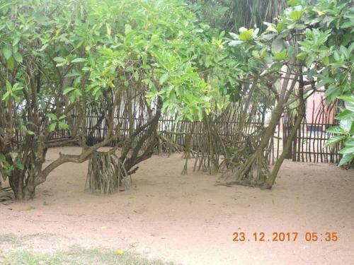 Akain Holiday Home