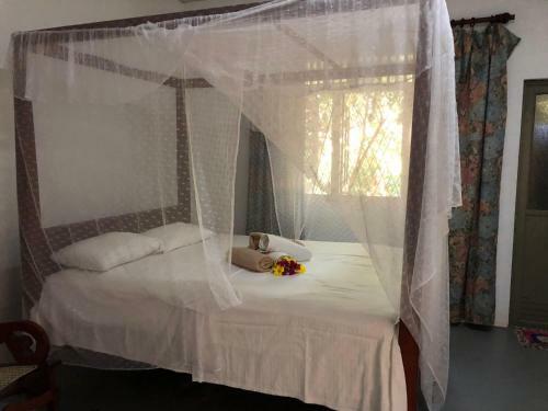 Hostal Villa Way To Freedom