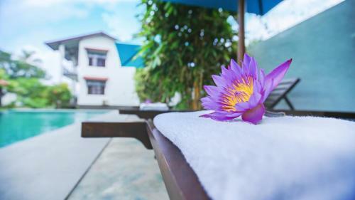 Hotel Kaminrich Cottage
