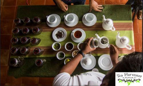 Hotel Tea Harvester