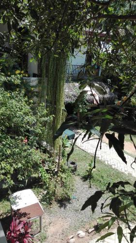 Hostal Mount Garden Guesthouse