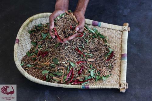 Hotel Nilaveli Ayurveda Resort