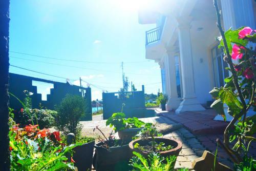 Hostal Guest House Hill Paradise