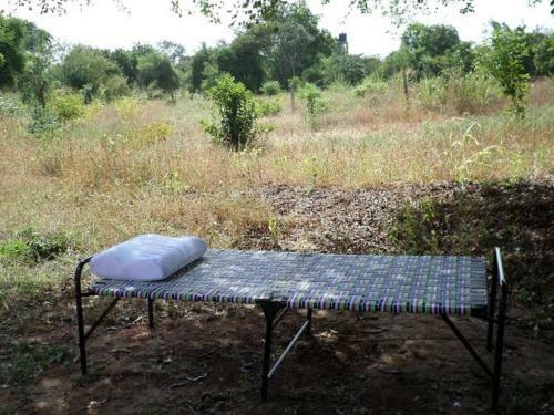 Hostal Wilpattu Dilsara Holiday Resort