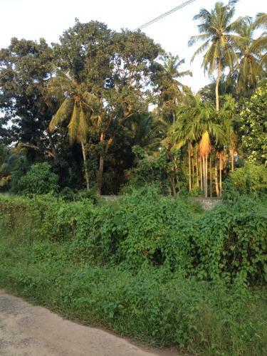Negombo Residence